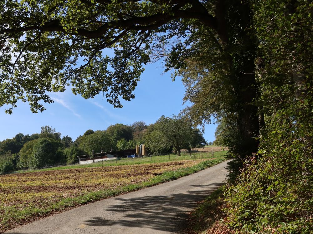 Bauernhof an der Hombergstrasse