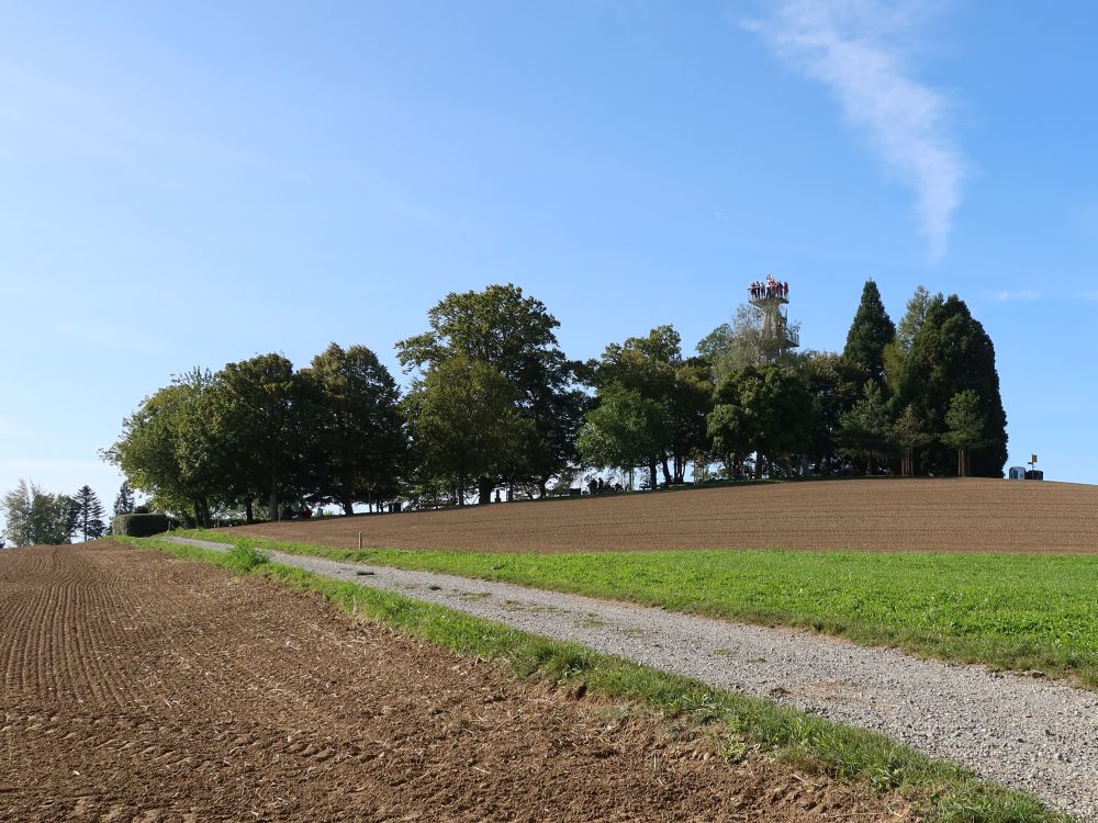 Baumgruppe um den Hombergturm