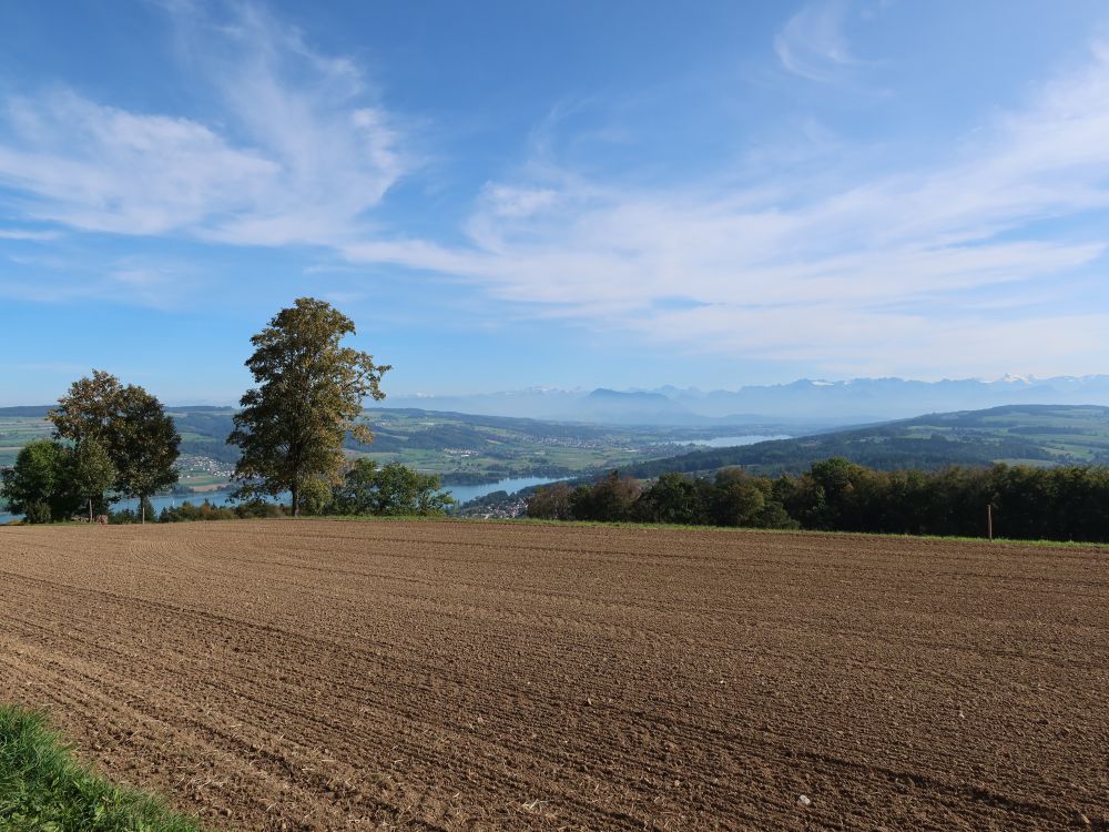 Acker mit Hallwilersee und Baldeggersee