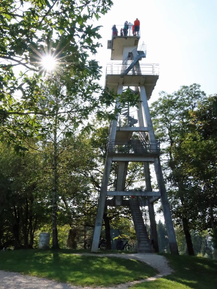 Hombergturm mit Gegenlicht