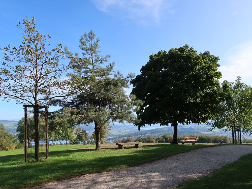 Sitzbänke auf der Hochwacht