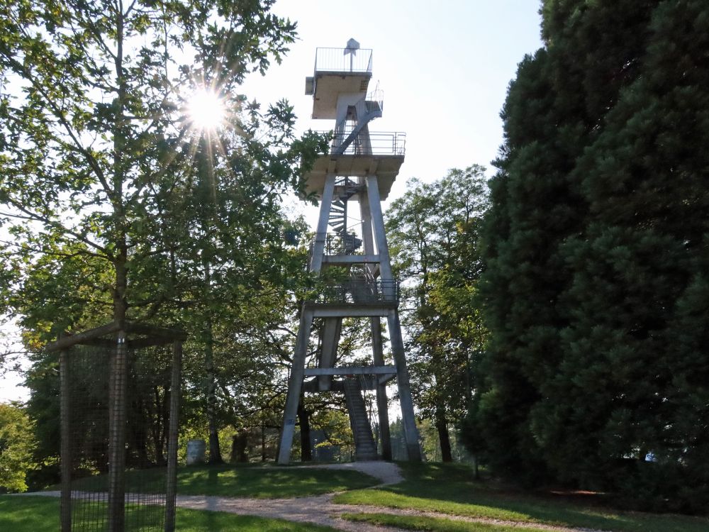 Hombergturm mit Gegenlicht