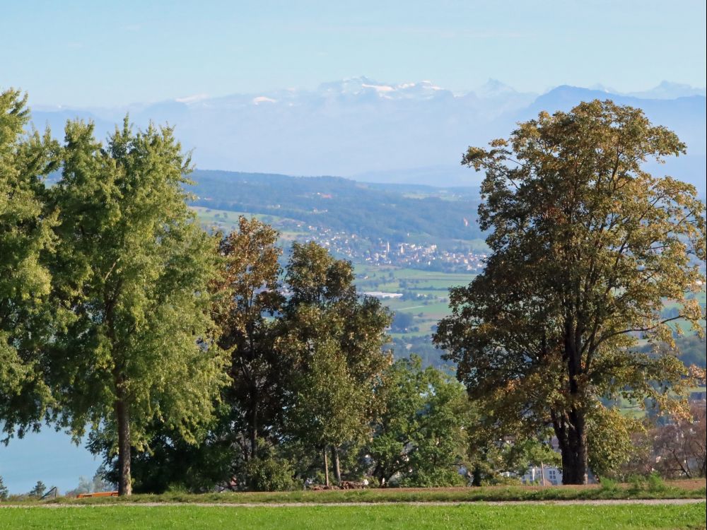 Blick auf Glarner Alpen