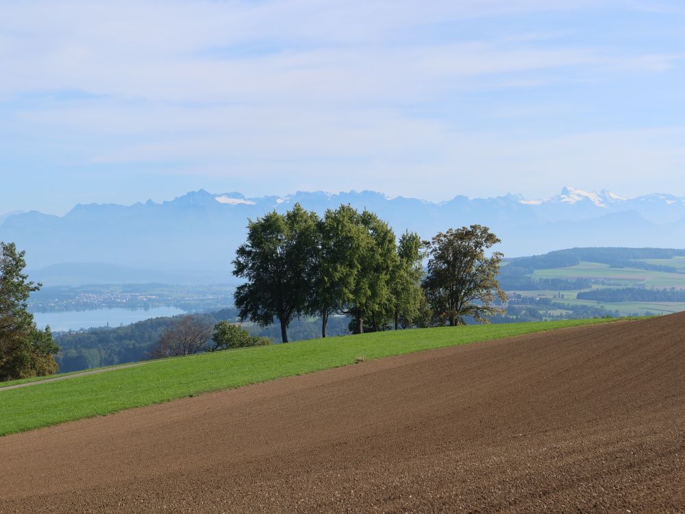 Baldeggersee mit Uri Rotstock bis Titlis