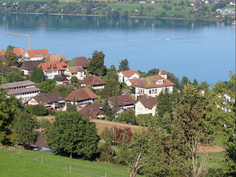 Häuser von Birrwil am Hallwilersee