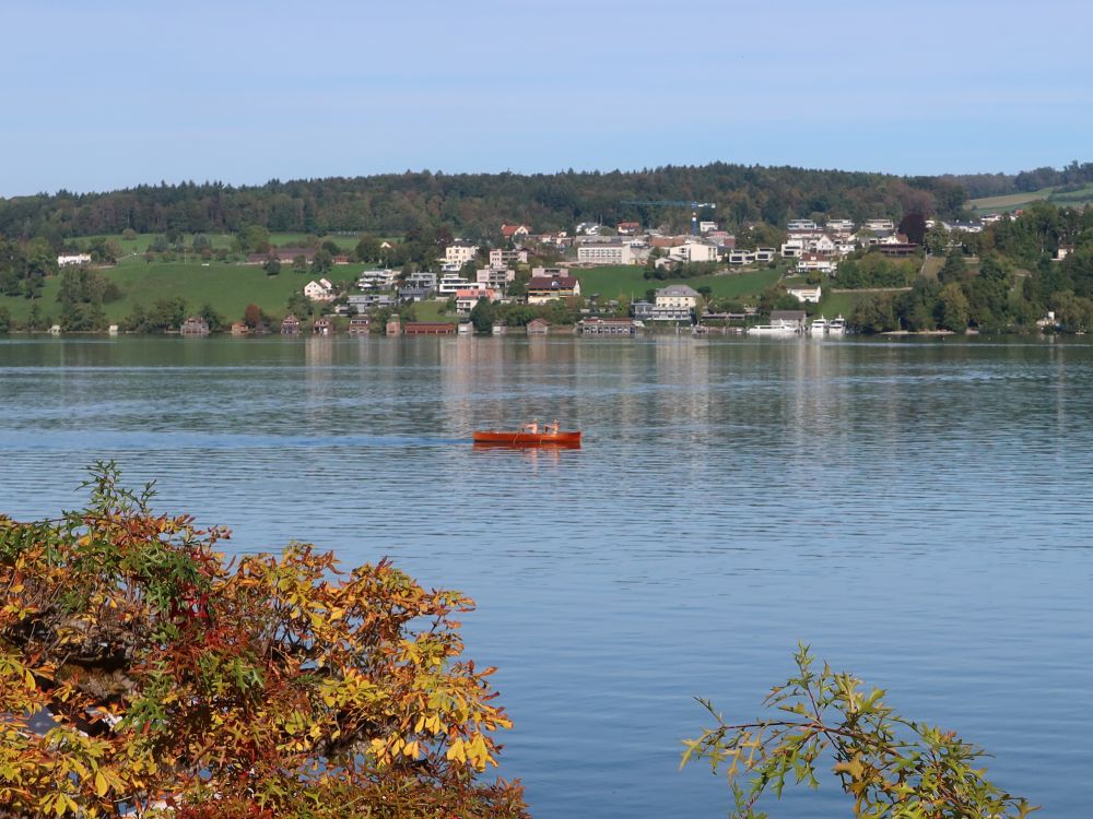 Ruderer auf dem Hallwilersee