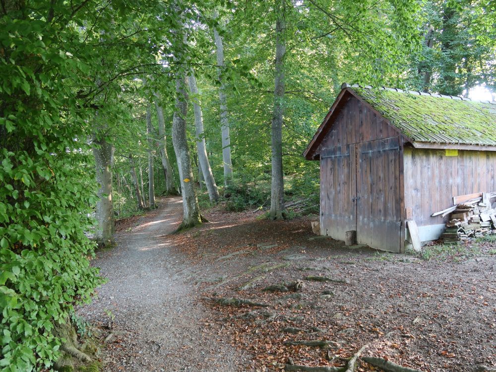 Hütte am Seeufer