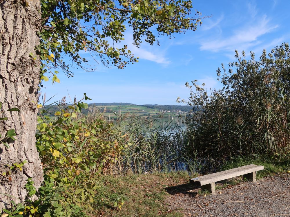 Sitzbank am Uferweg