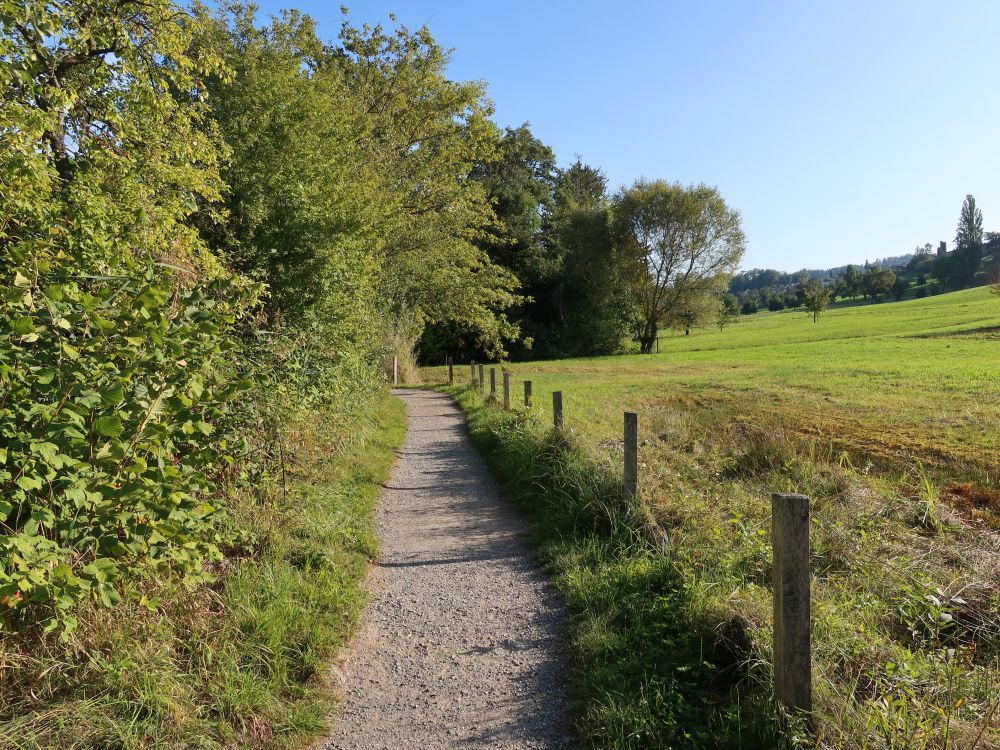 Uferweg am Hallwilersee