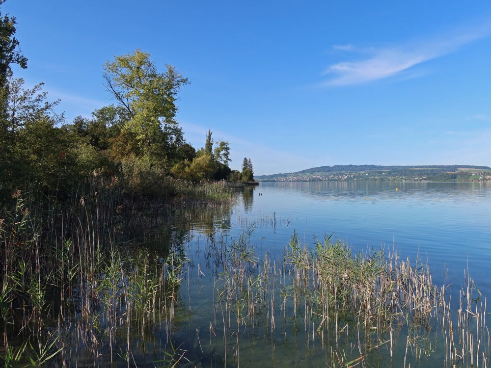 Hallwilersee