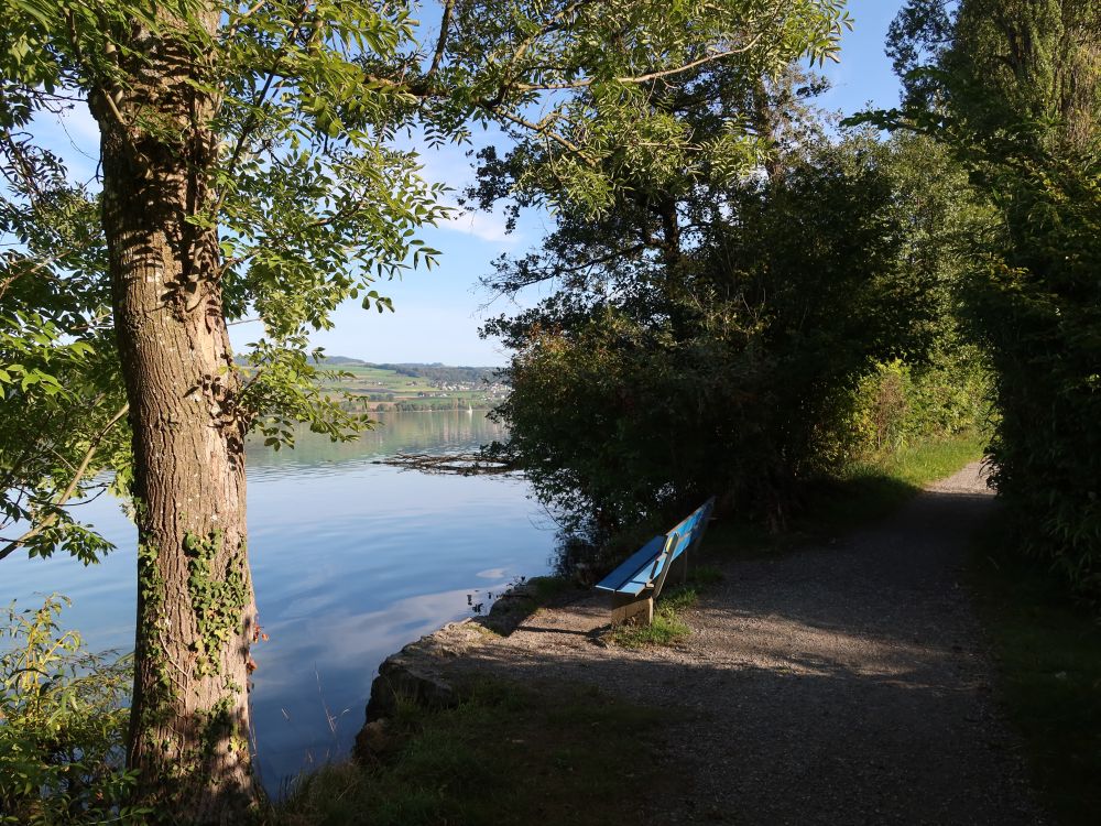 Sitzbank am Uferweg