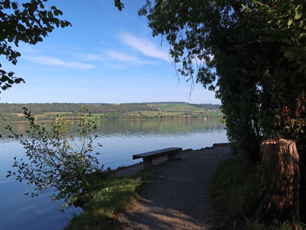 Sitzbank am Uferweg