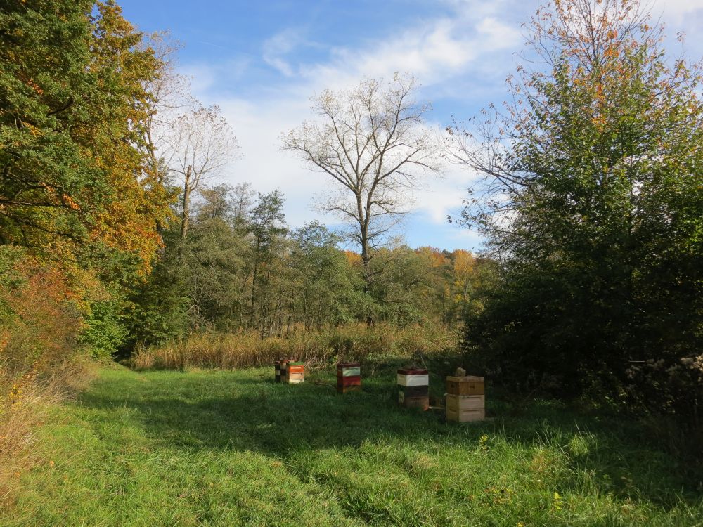 Bienenstöcke