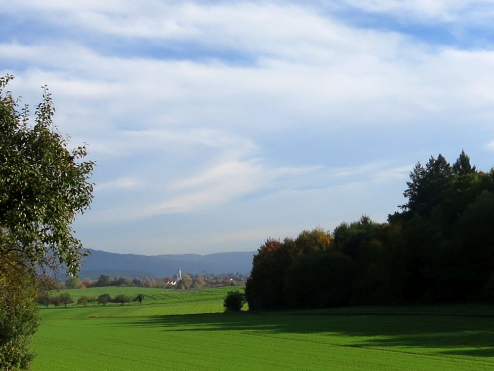 Blick Richtung Gottmadingen