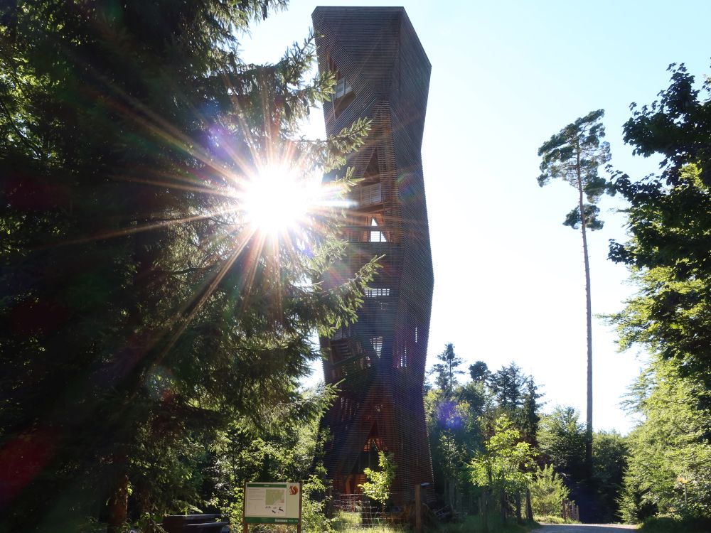 Aussichtstirm Hardwald mit Gegenlicht