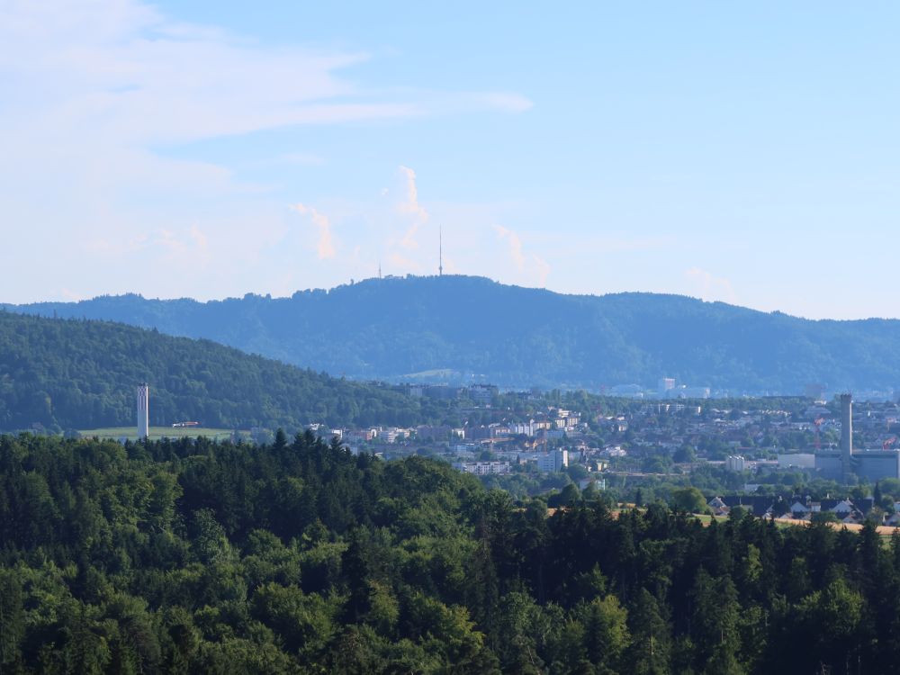 Blick Richtung Uetliberg