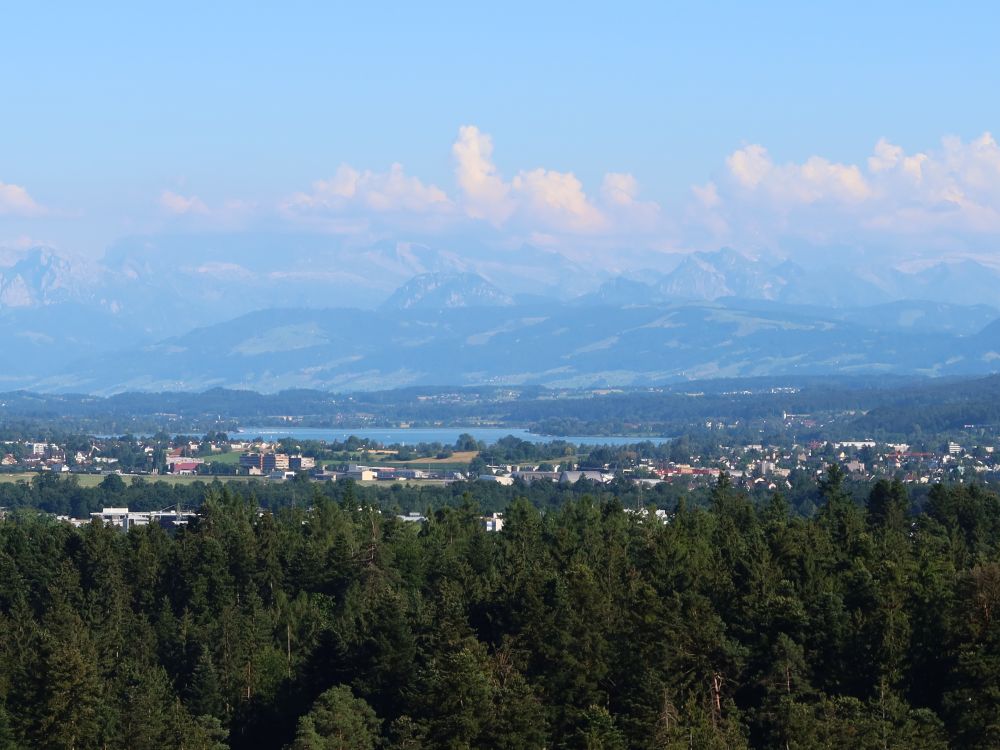 Blick Richtung Zürichsee