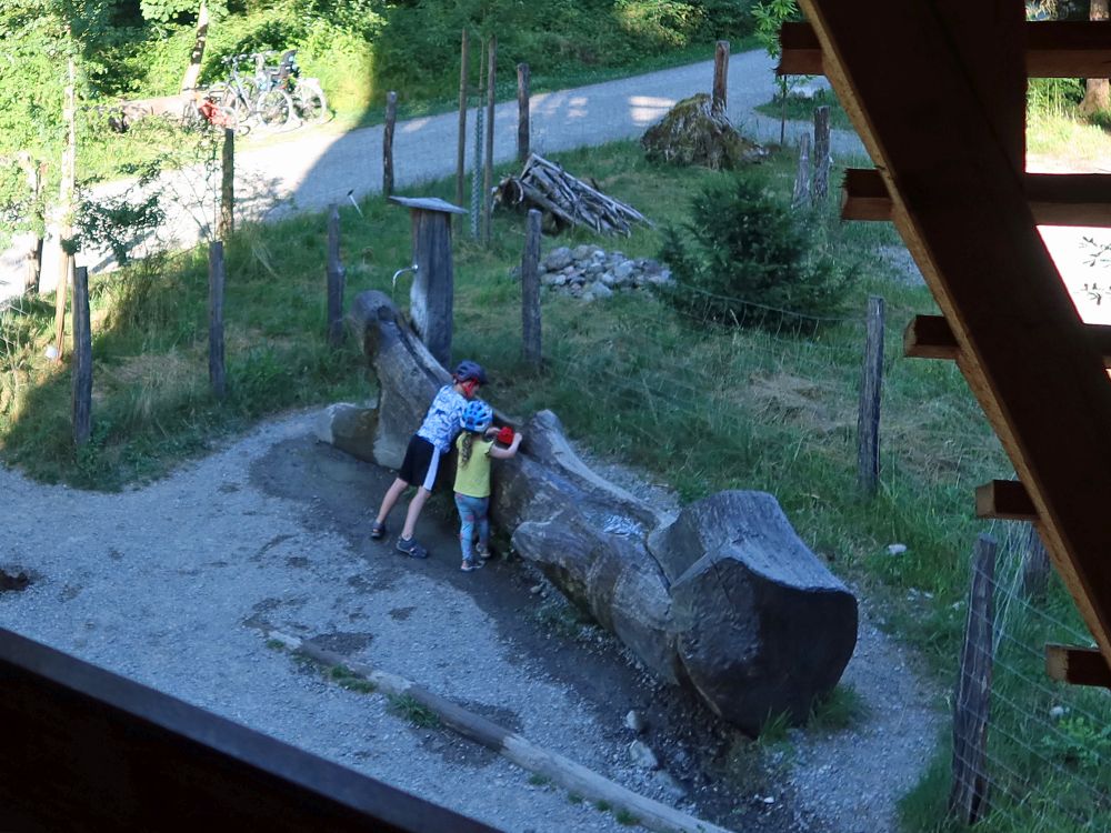 Brunnen