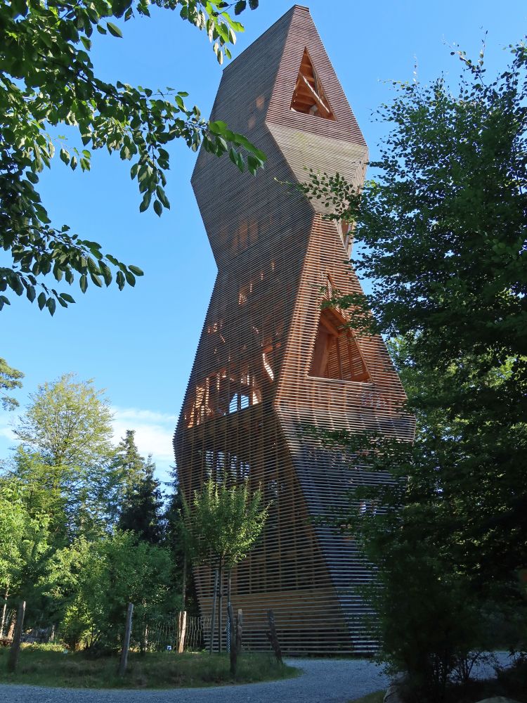 Aussichtsturm Hardwald