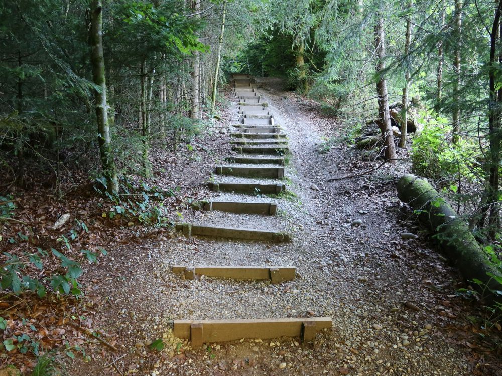 Treppe