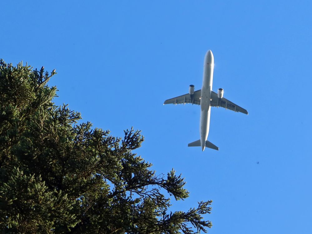 Flugzeug