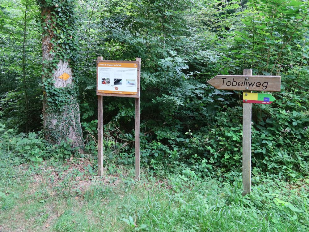 Infotafel und Wegweiser