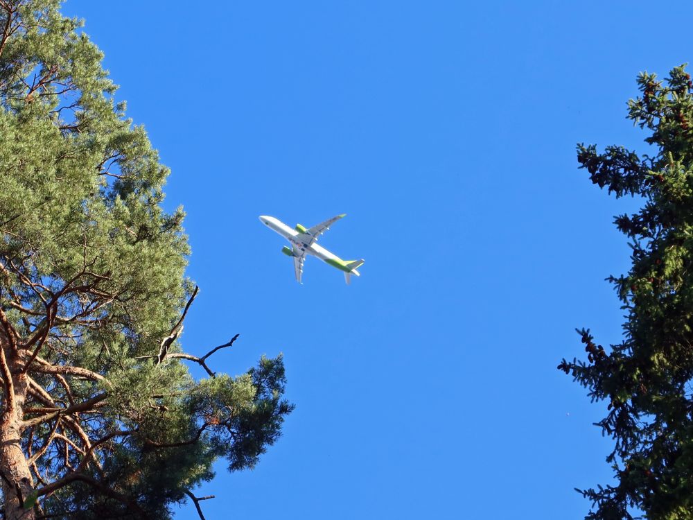 Flugzeug