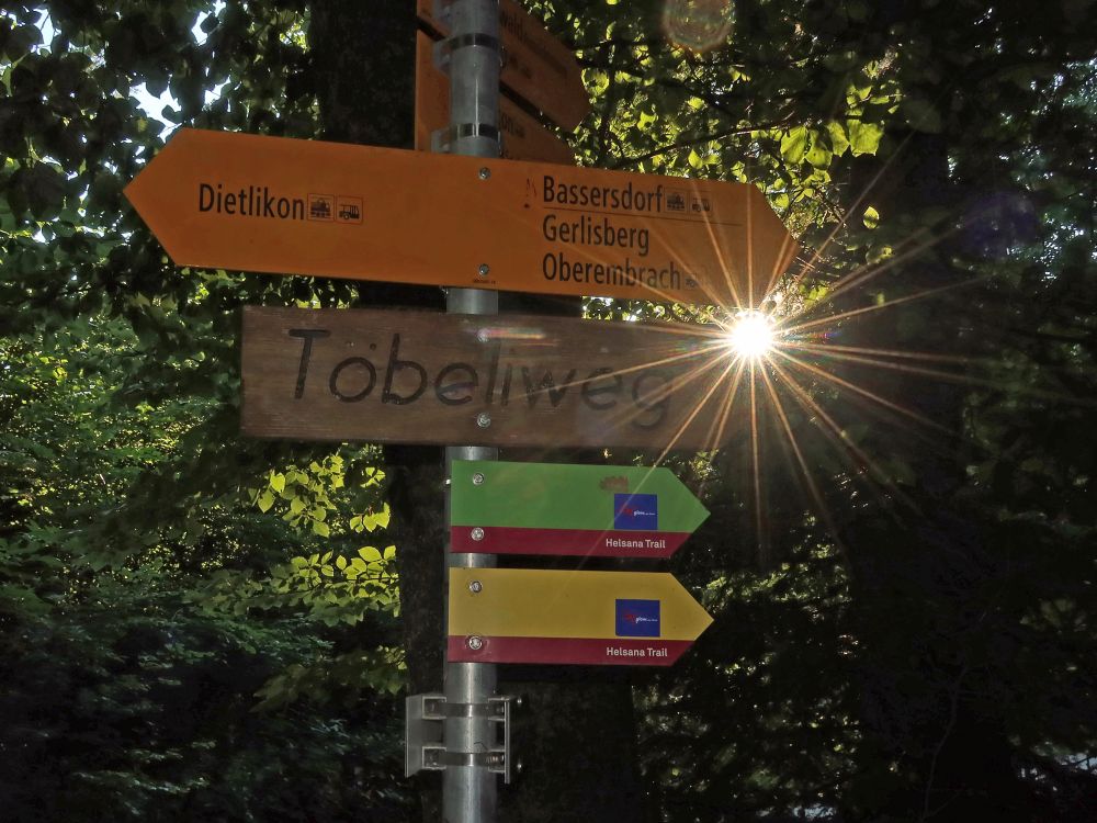 Wegweiser im Gegenlicht