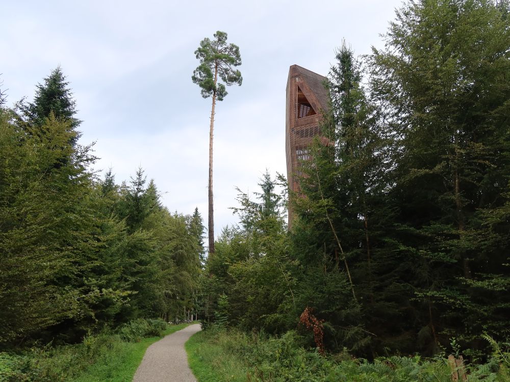 Hardwaldturm