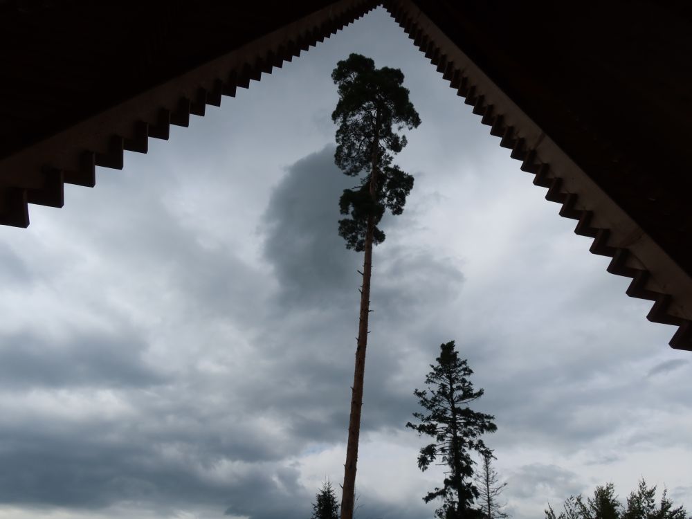 Blick aus dem Hardwaldturm