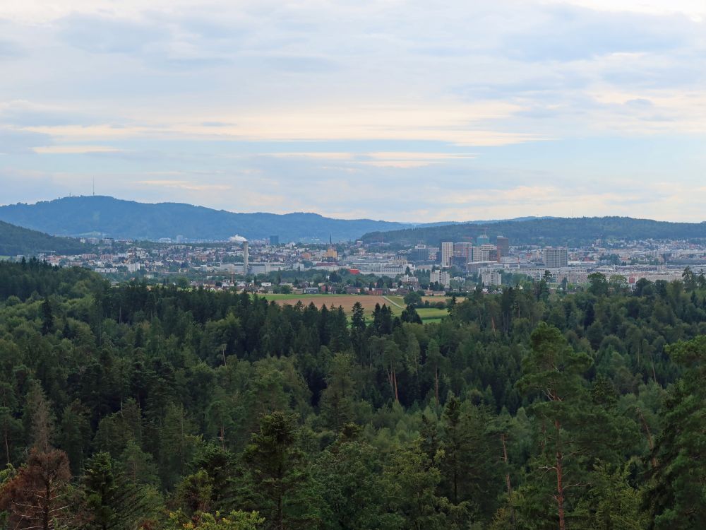 Oerlikon mit Uetliberg (li.)