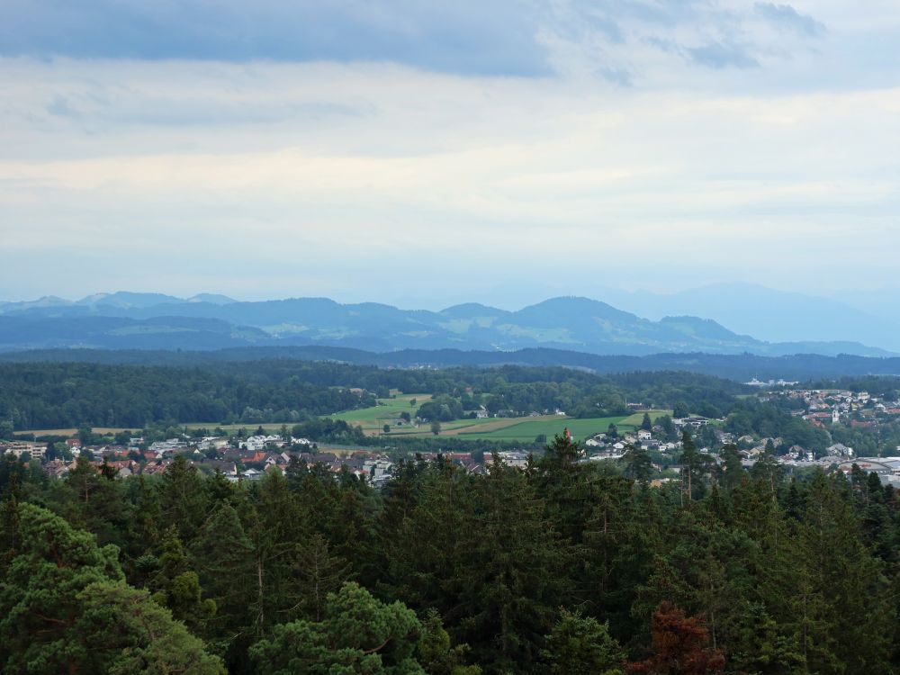 Blick Richtung Bachtel