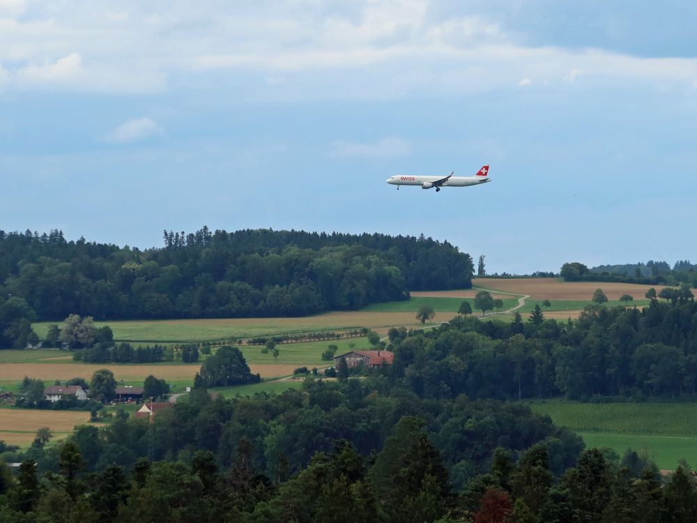 Flugzeug im Landeanflug