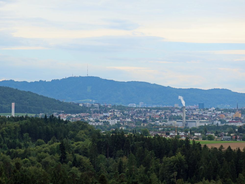 Blick Richtung Uetliberg