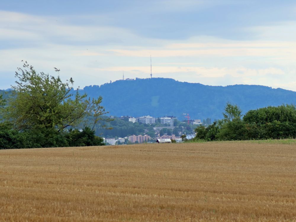 Blick Richtung Uetliberg