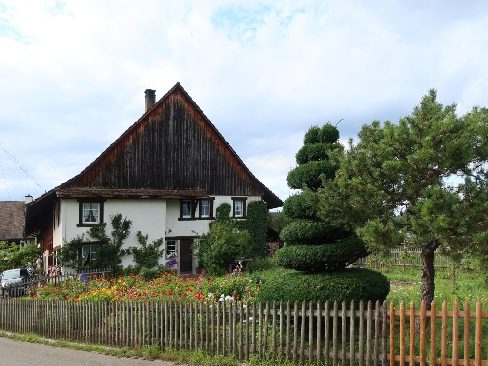 Bauernhaus in Opfikon