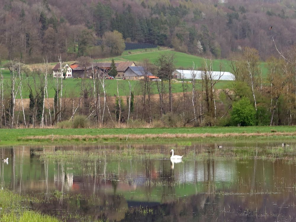 Blick Richtung Bauernhof Seeben