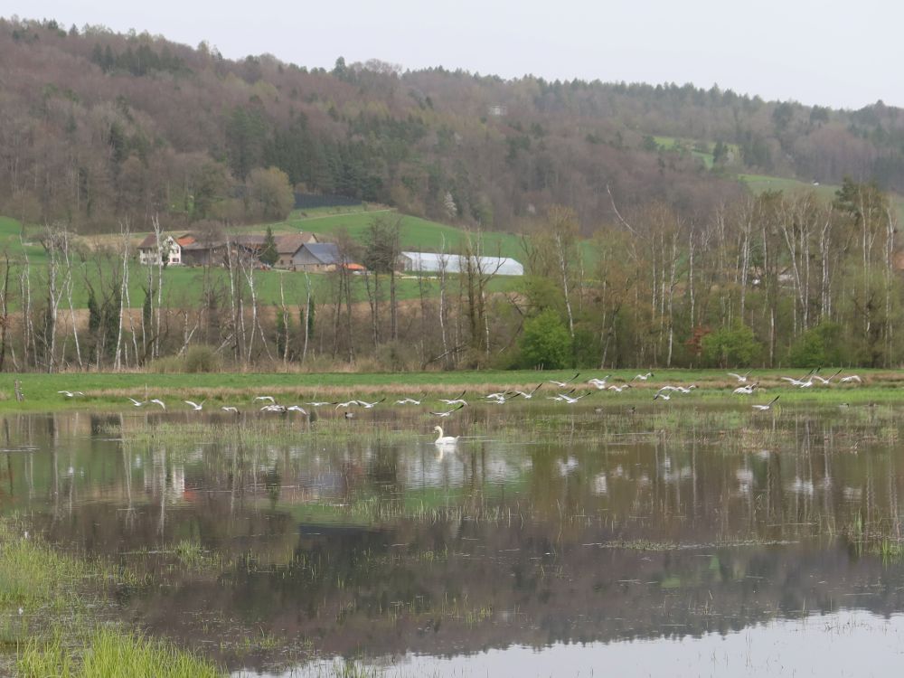 Blick Richtung Bauernhof Seeben