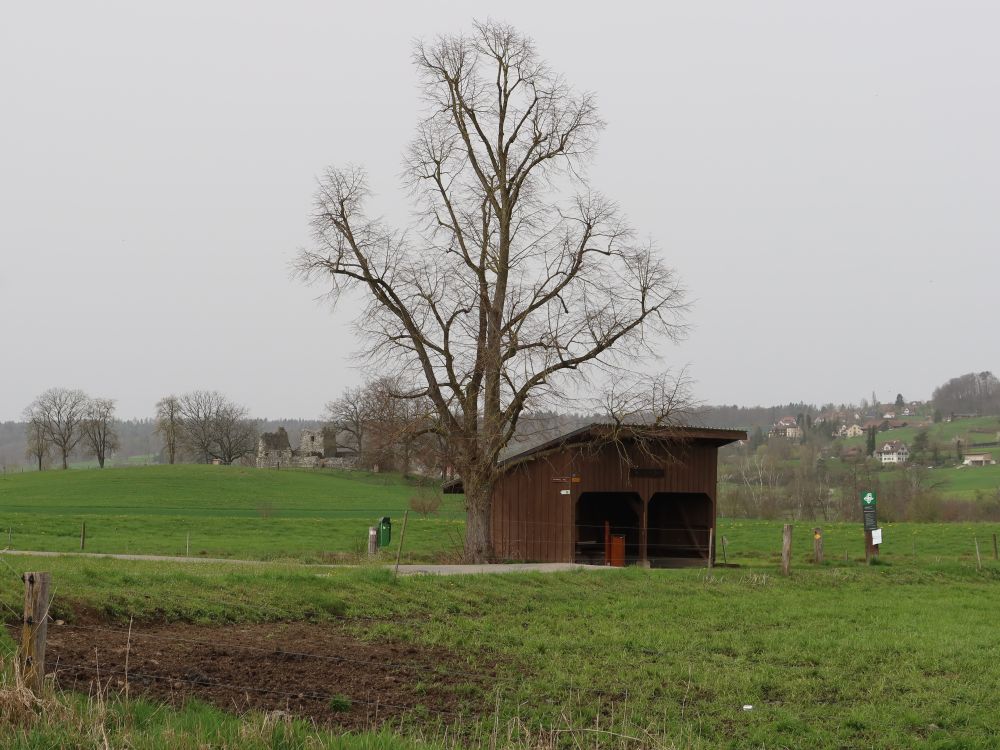 Grillplatz Buch und Ruine Helfenberg