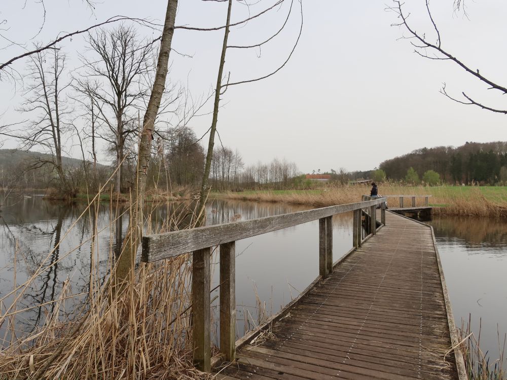 Holzsteg am Hüttwilersee