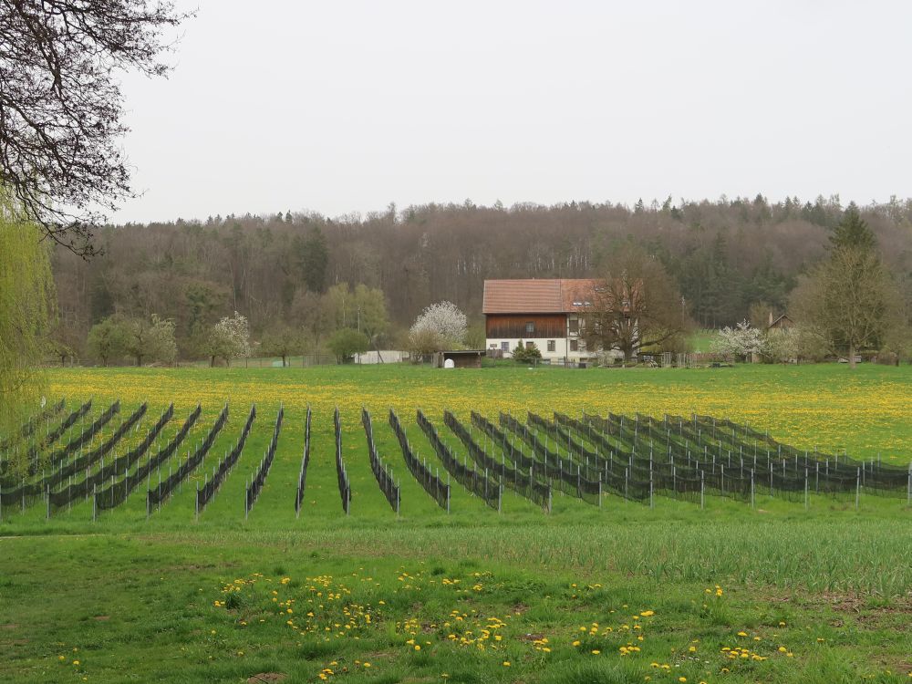 Bauernhof Seehalde