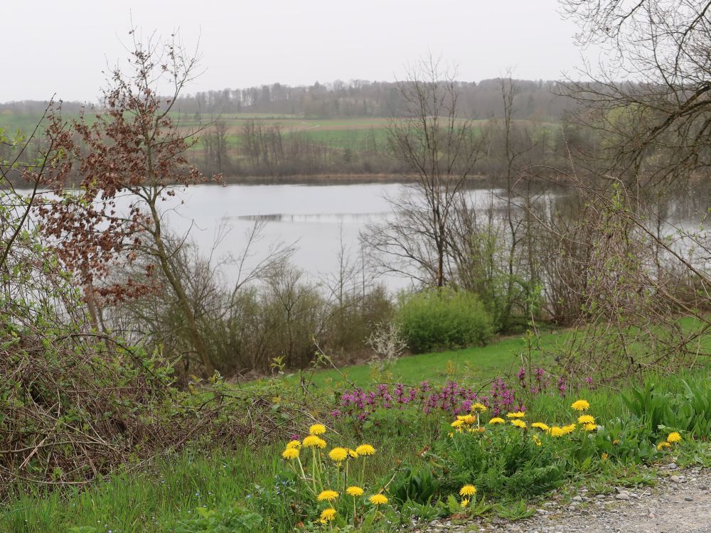 Hüttwilersee