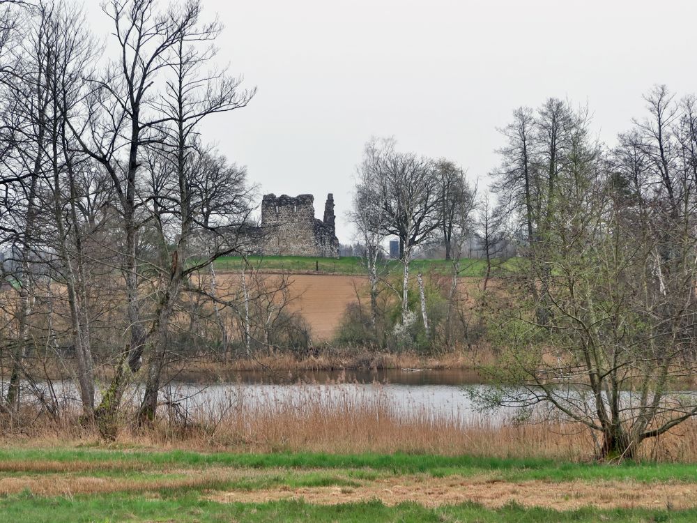 Ruine Helfenberg