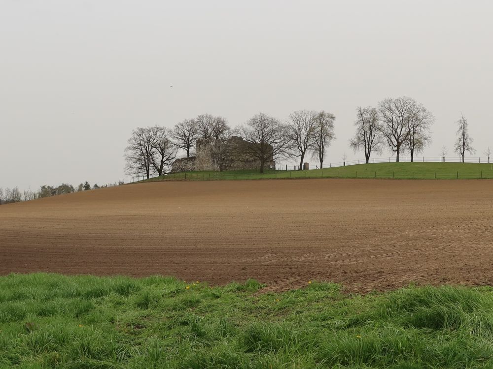 Ruine Helfenberg