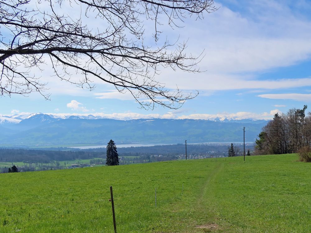 Blick Richtung Zürichsee
