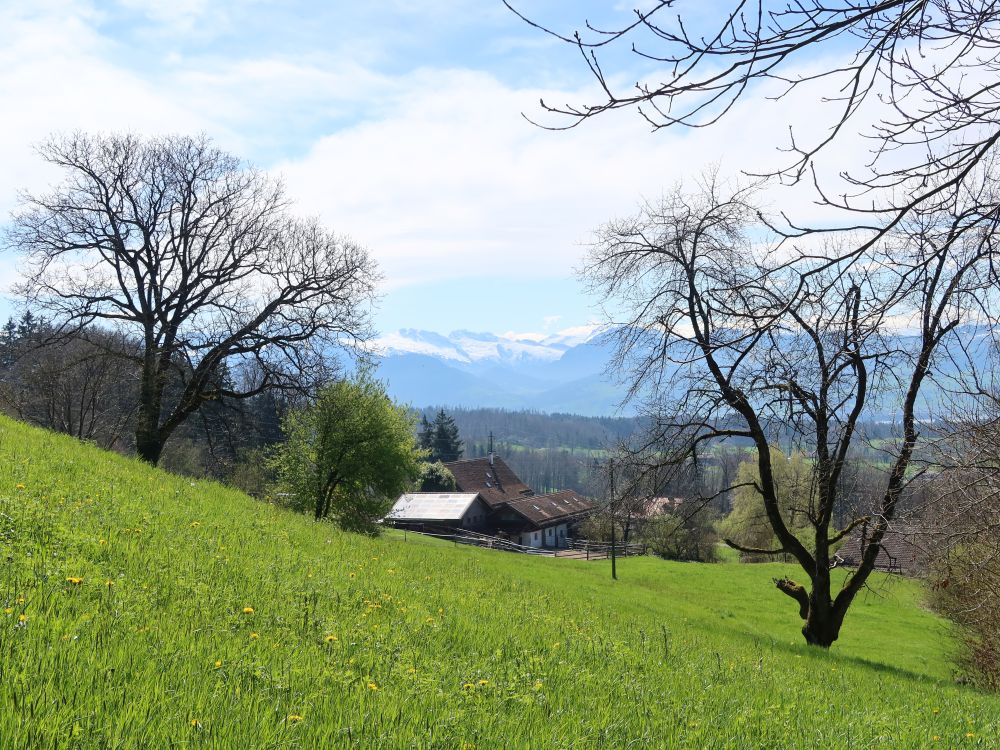 Tüfenbool und Glarner Alpen