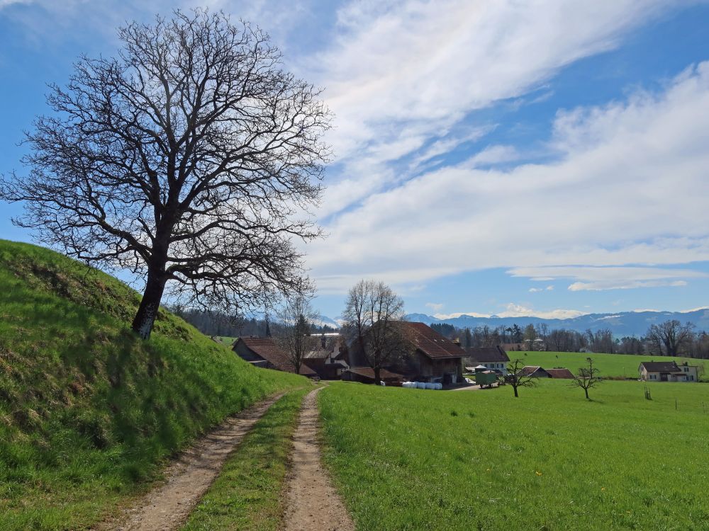 Blick Richtung Oberfägswil