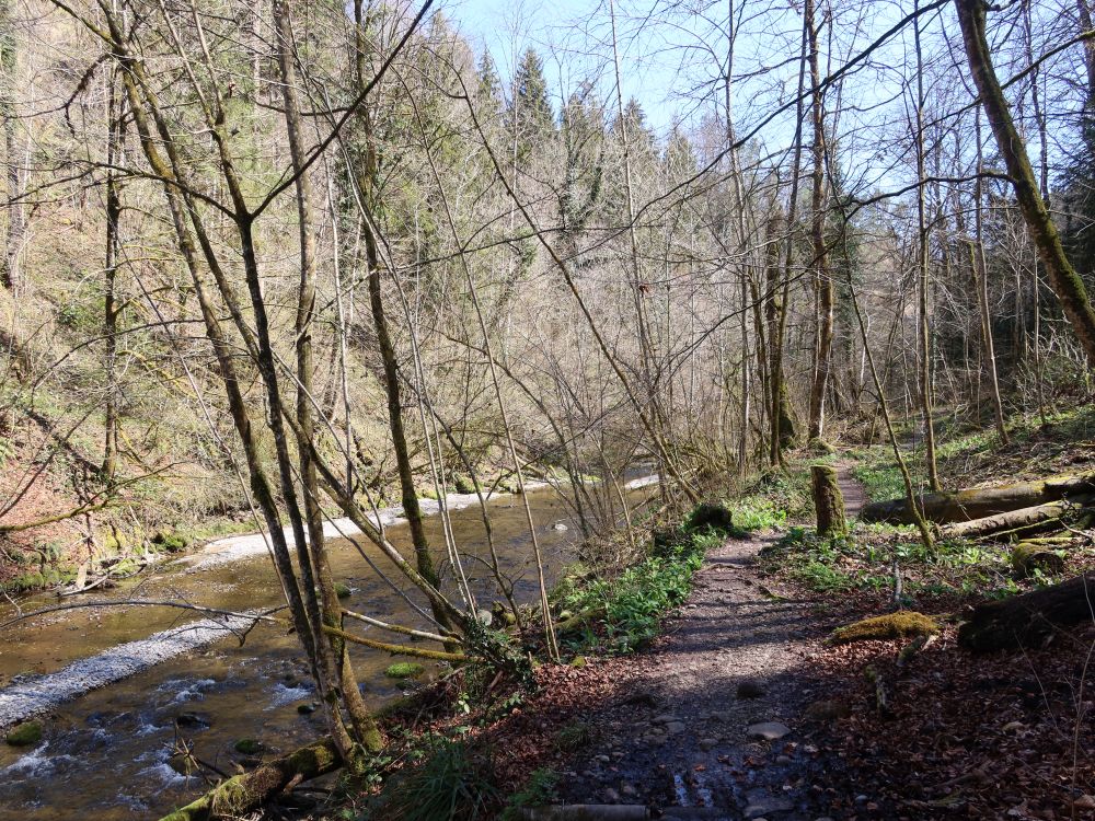 Jona im Tannertobel