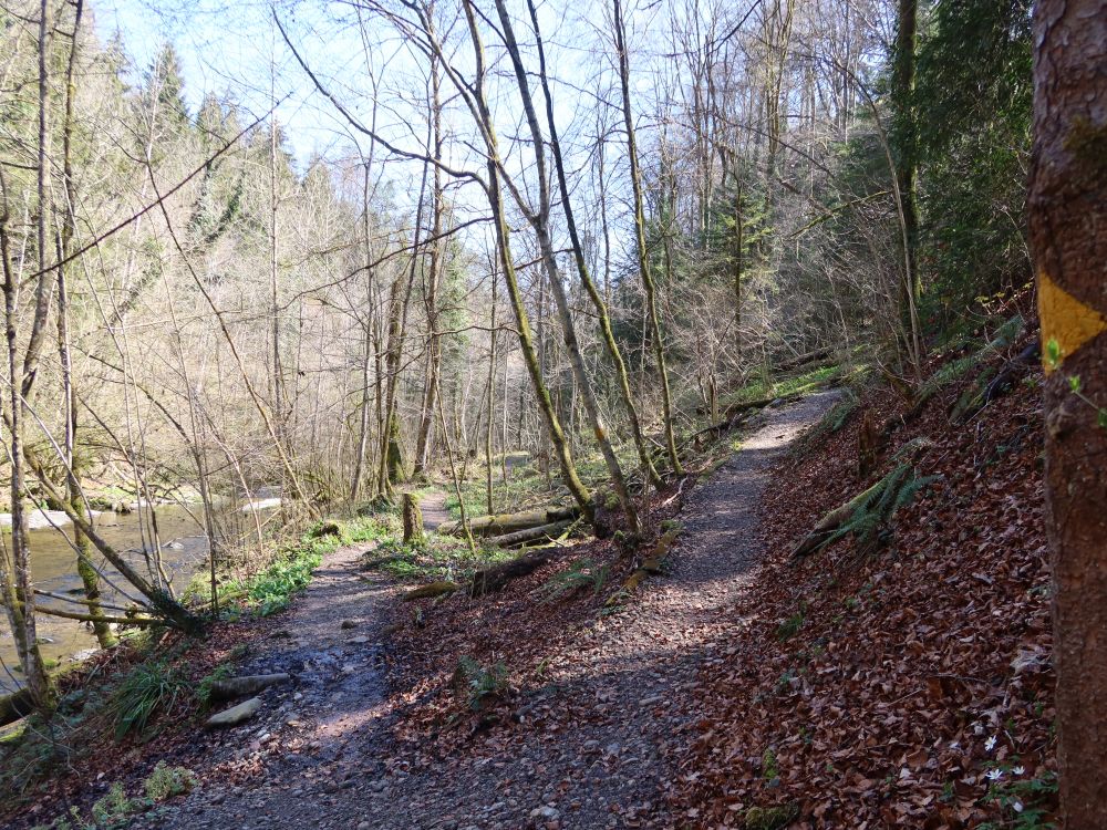 Pfad im Tannertobel