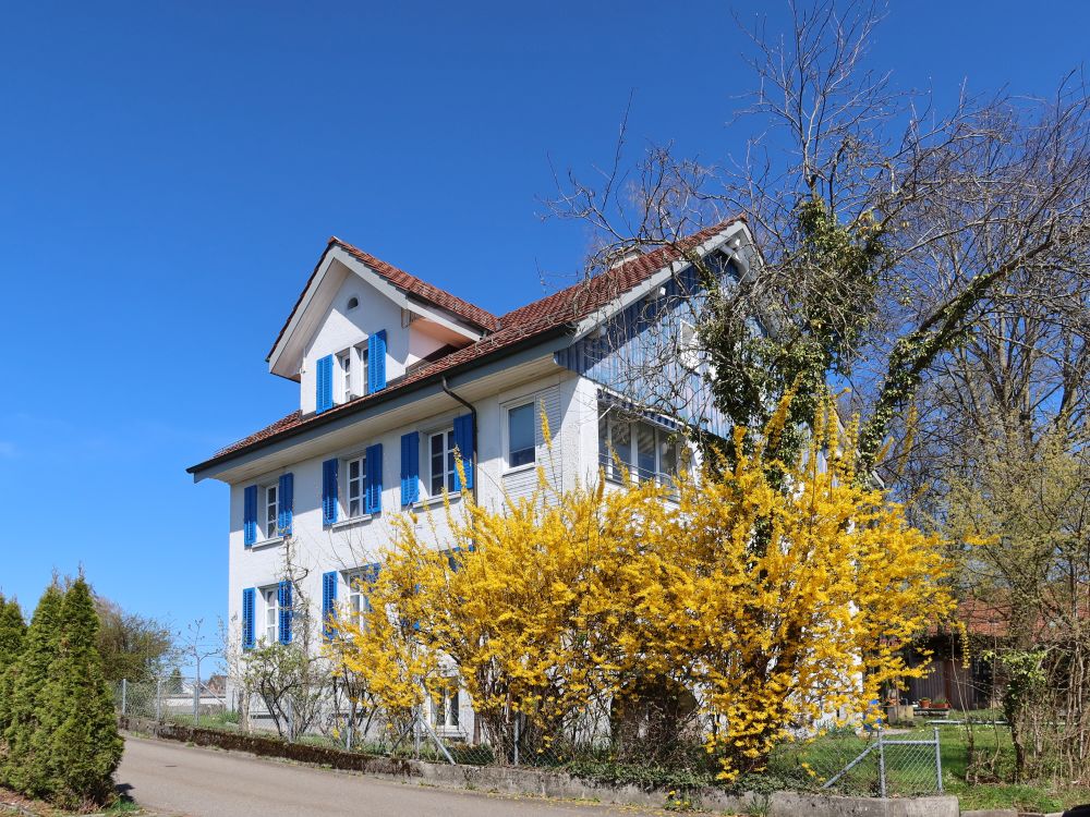 Haus in Tann-Dürnten